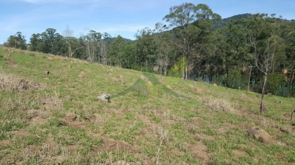 Terreno, 20 hectares - Foto 1
