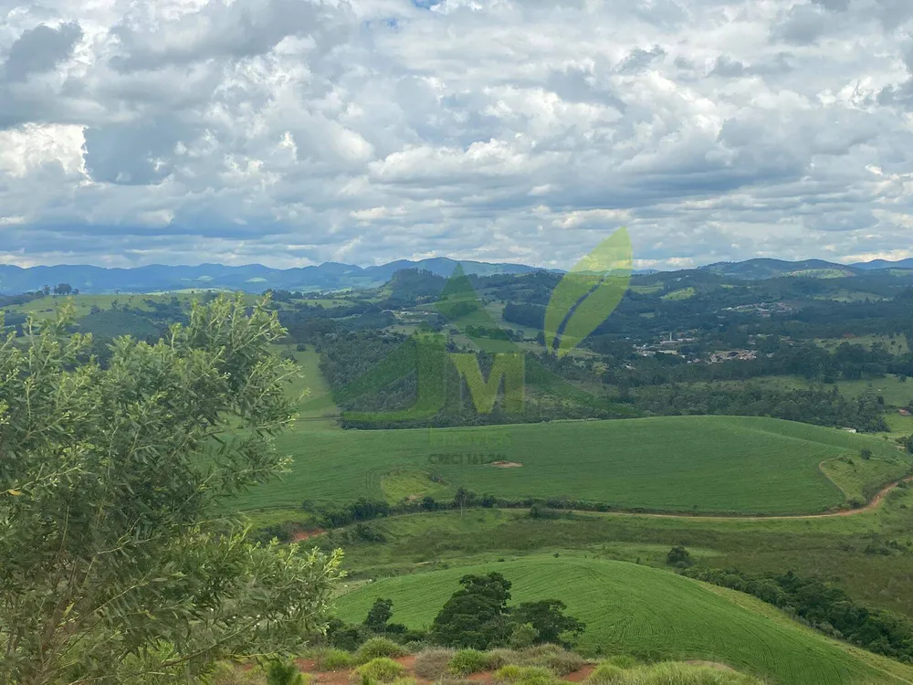 Fazenda, 148 hectares - Foto 7