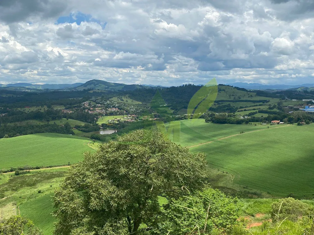 Fazenda, 148 hectares - Foto 10