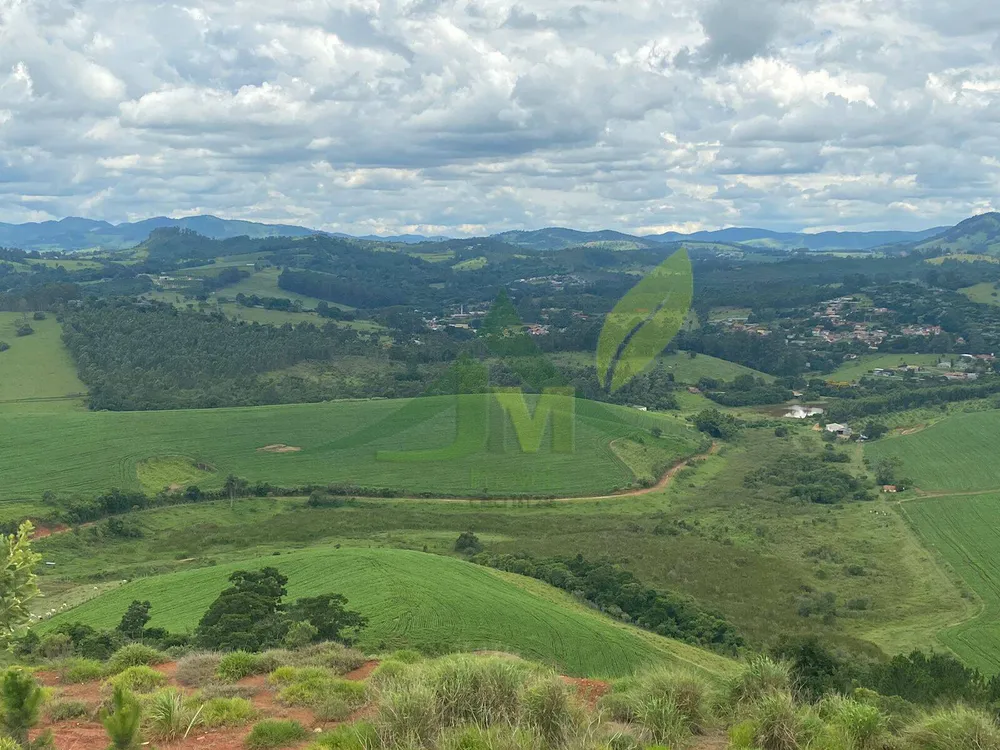 Fazenda, 148 hectares - Foto 4