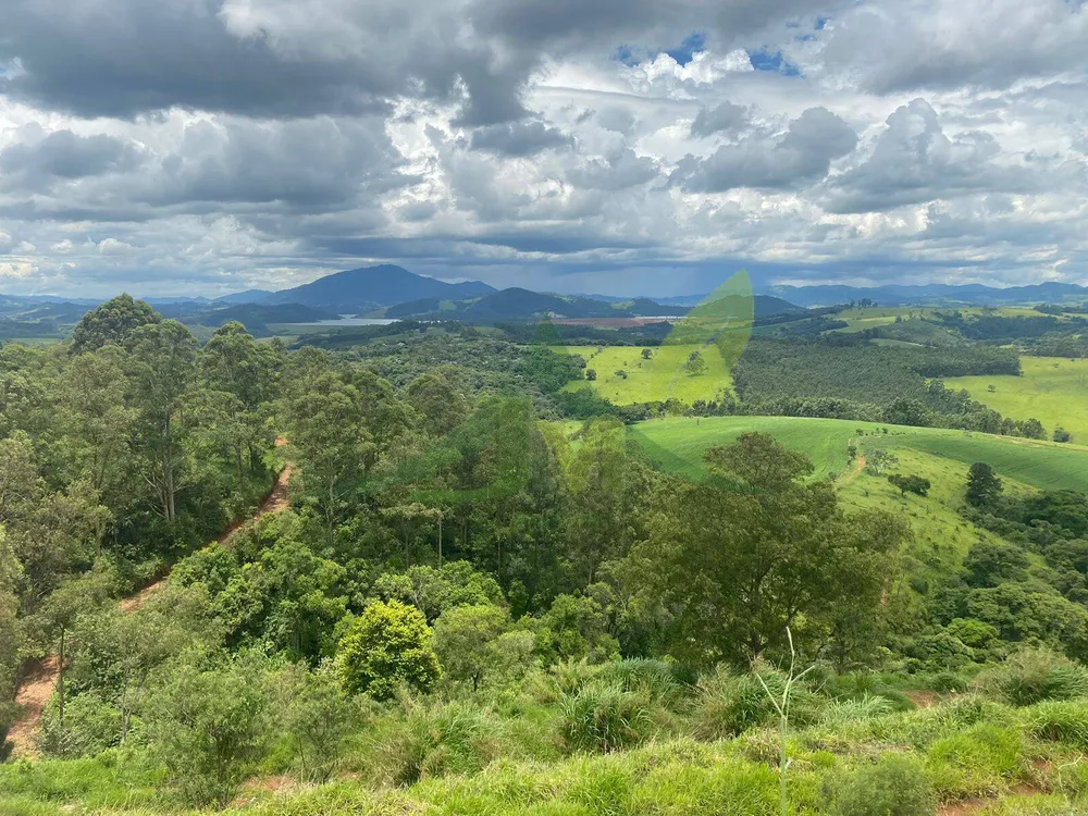 Fazenda, 148 hectares - Foto 12