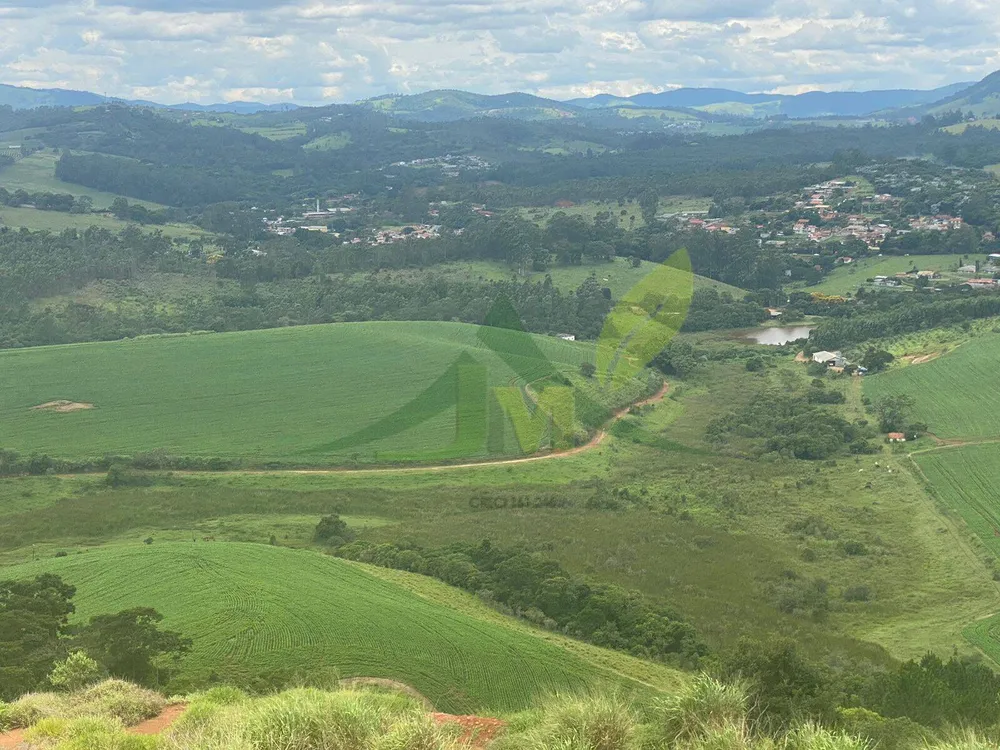Fazenda, 148 hectares - Foto 8