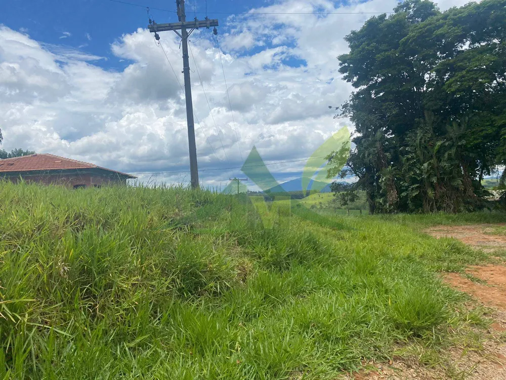 Fazenda, 148 hectares - Foto 3