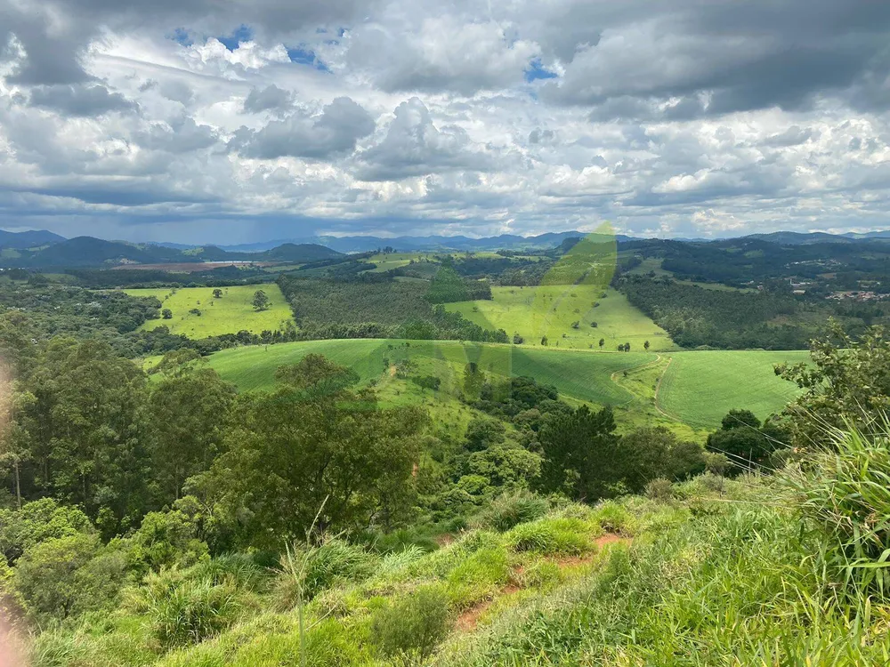 Fazenda, 148 hectares - Foto 11