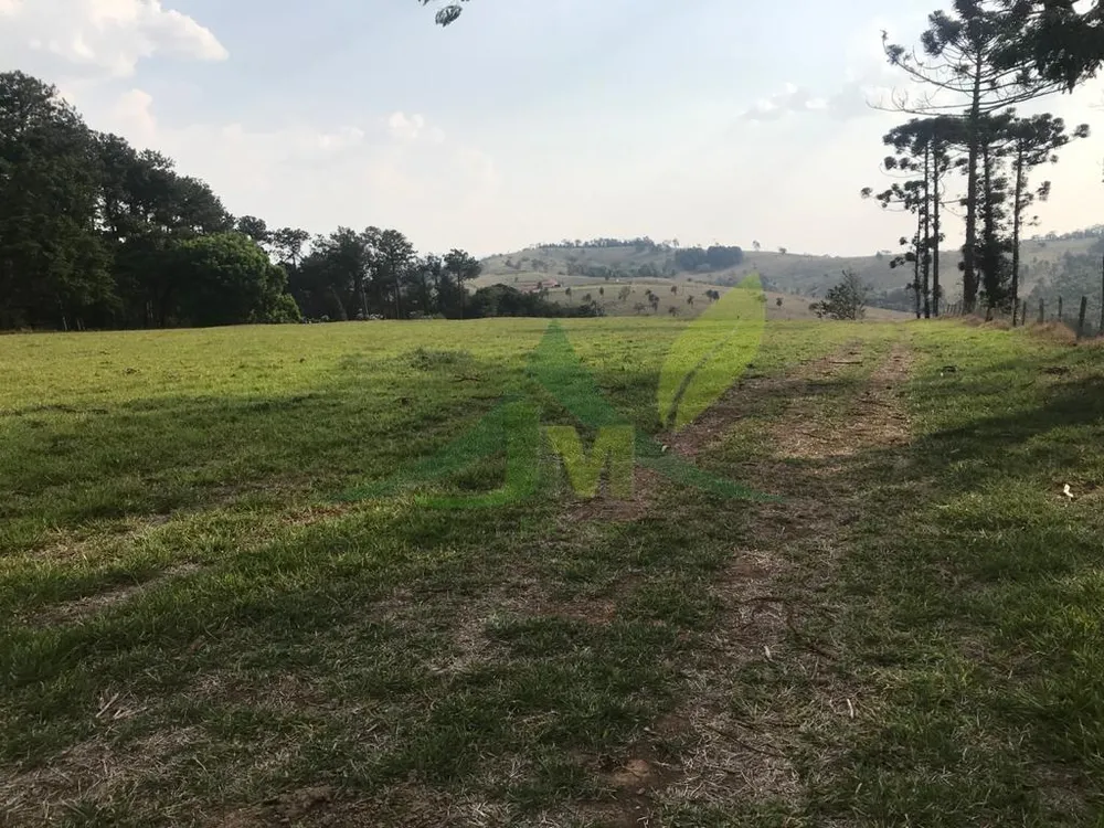 Fazenda, 2420 hectares - Foto 9