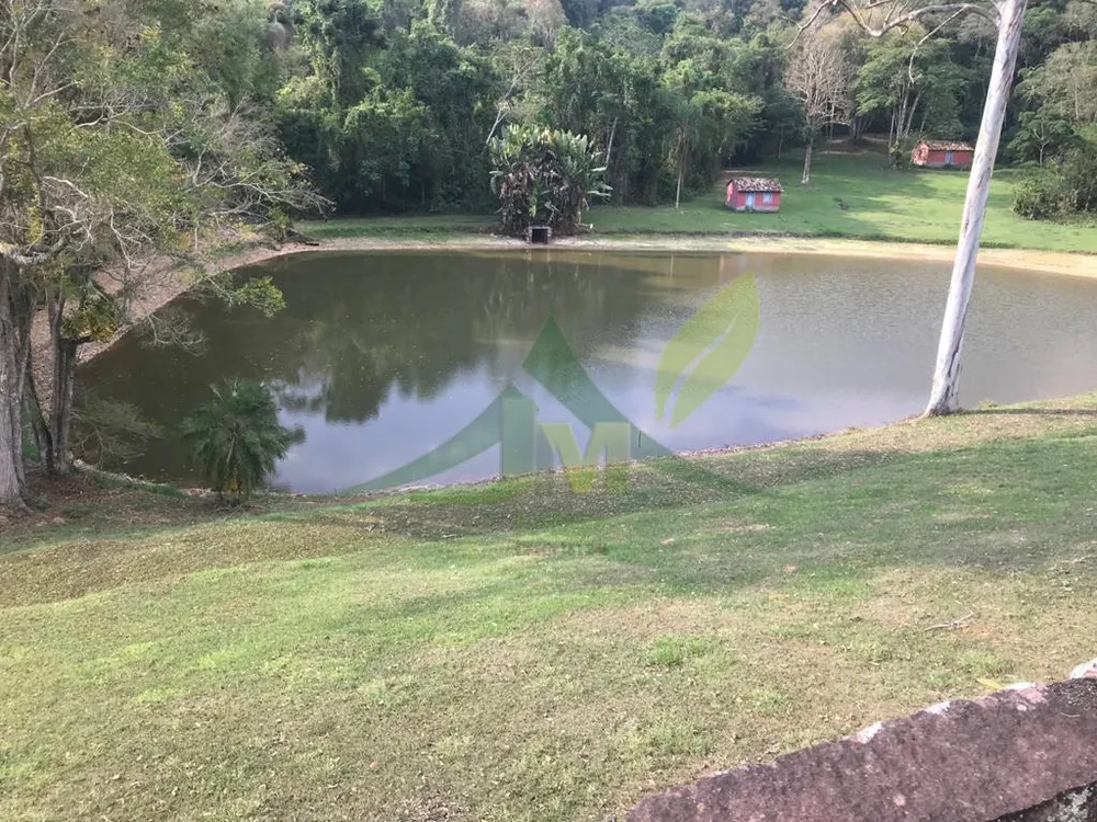 Fazenda, 2420 hectares - Foto 3