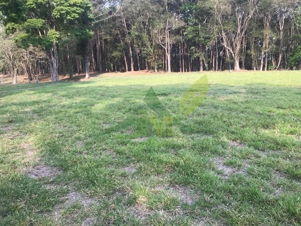 Fazenda, 2420 hectares - Foto 7