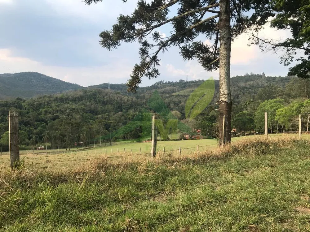 Fazenda, 2420 hectares - Foto 10