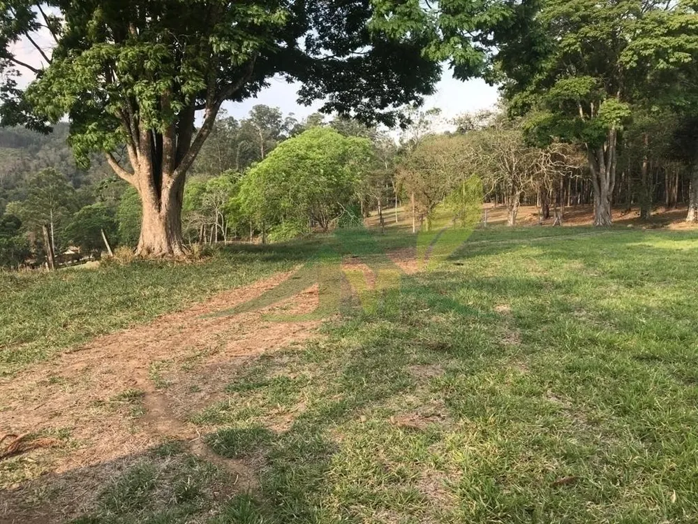 Fazenda, 2420 hectares - Foto 11