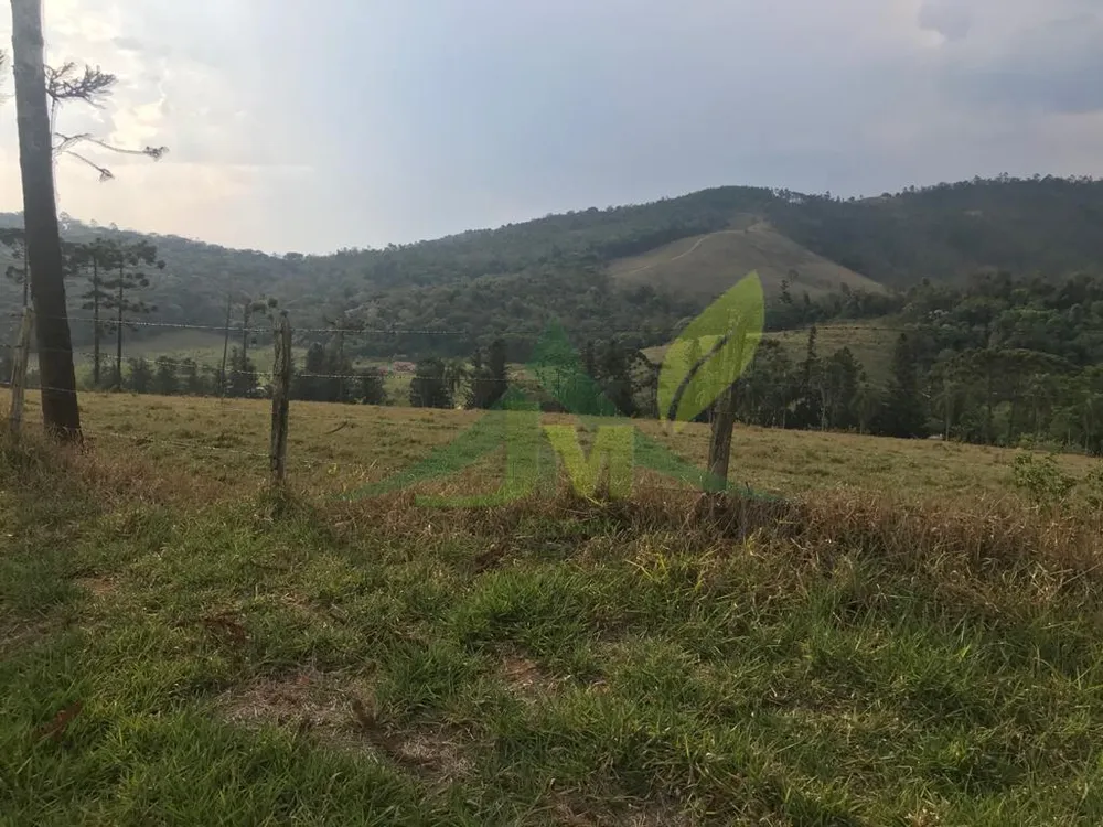 Fazenda, 2420 hectares - Foto 12