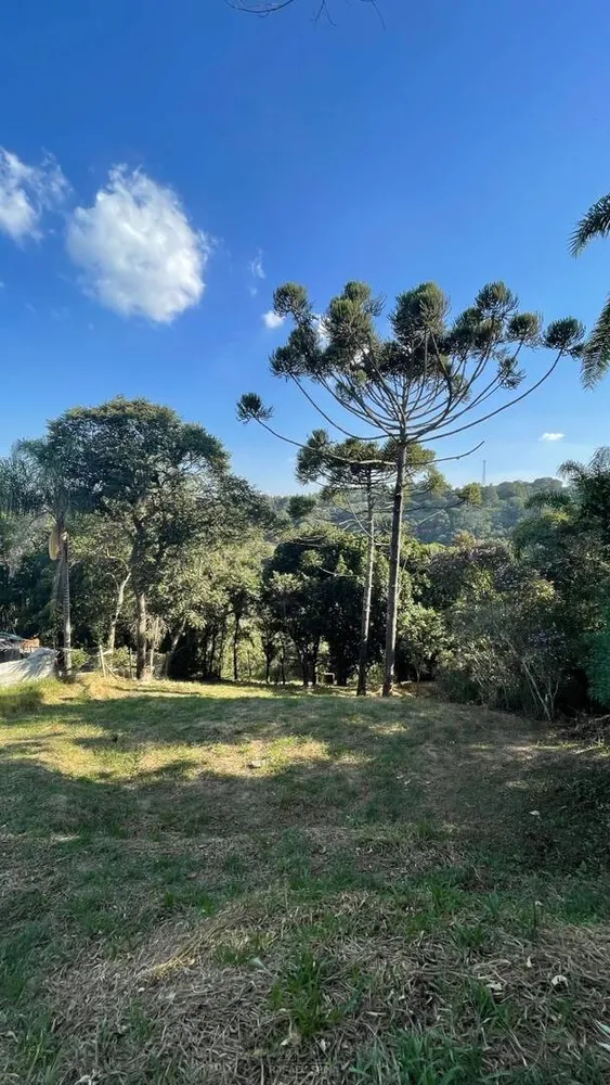 Terreno - Foto 5