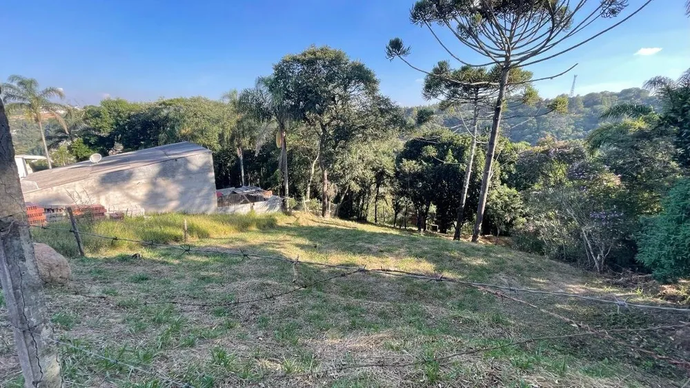 Terreno - Foto 4