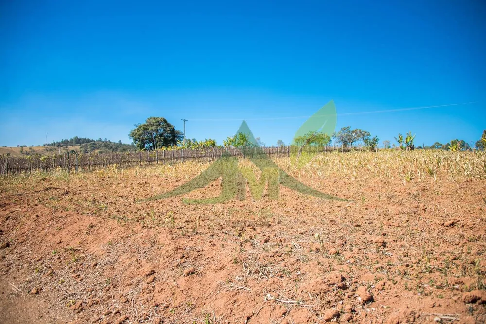 Terreno, 3 hectares - Foto 4