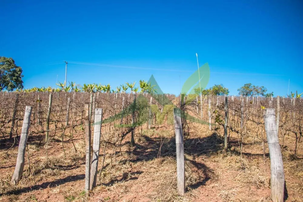 Terreno, 3 hectares - Foto 4
