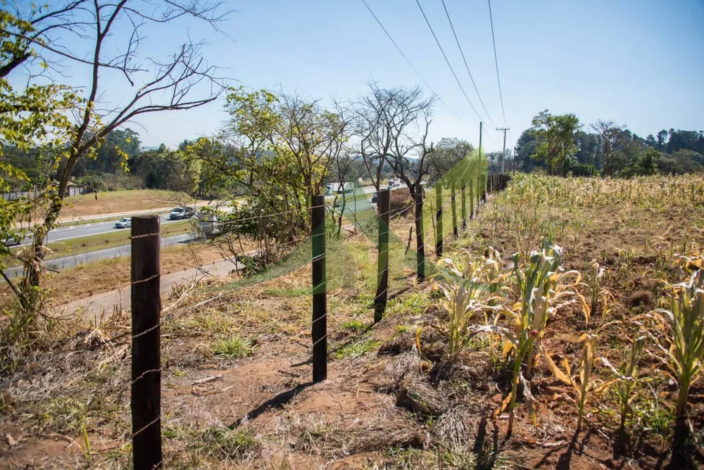 Terreno, 3 hectares - Foto 8