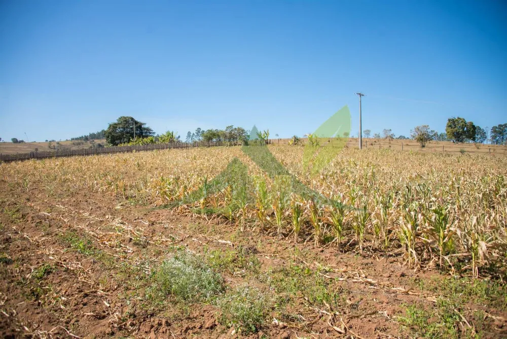 Terreno, 3 hectares - Foto 3