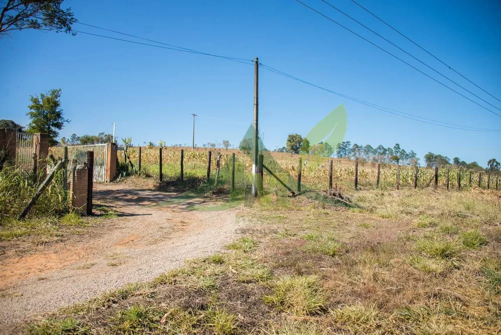 Terreno, 3 hectares - Foto 1
