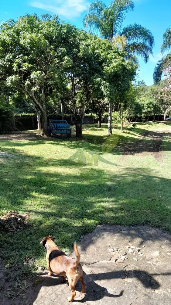 Sítio, 5 quartos, 3662 m² - Foto 11