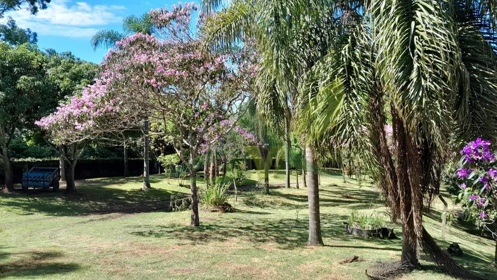 Sítio, 5 quartos, 3662 m² - Foto 15