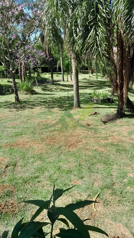 Sítio, 5 quartos, 3662 m² - Foto 13