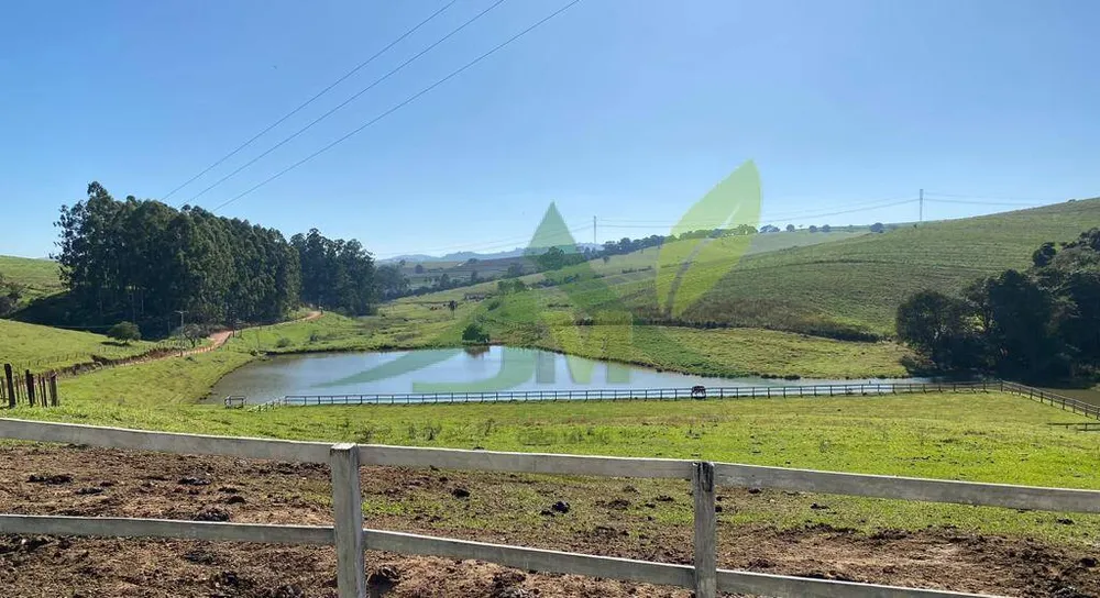 Fazenda, 15 hectares - Foto 12