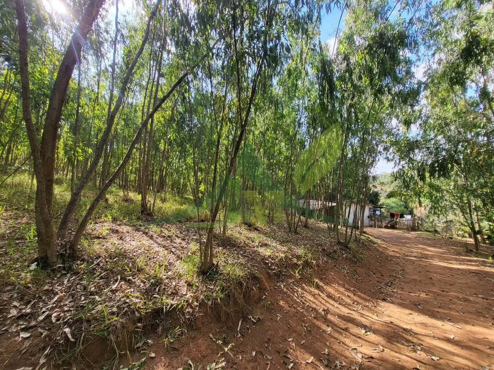 Sítio, 3 quartos, 4 hectares - Foto 6