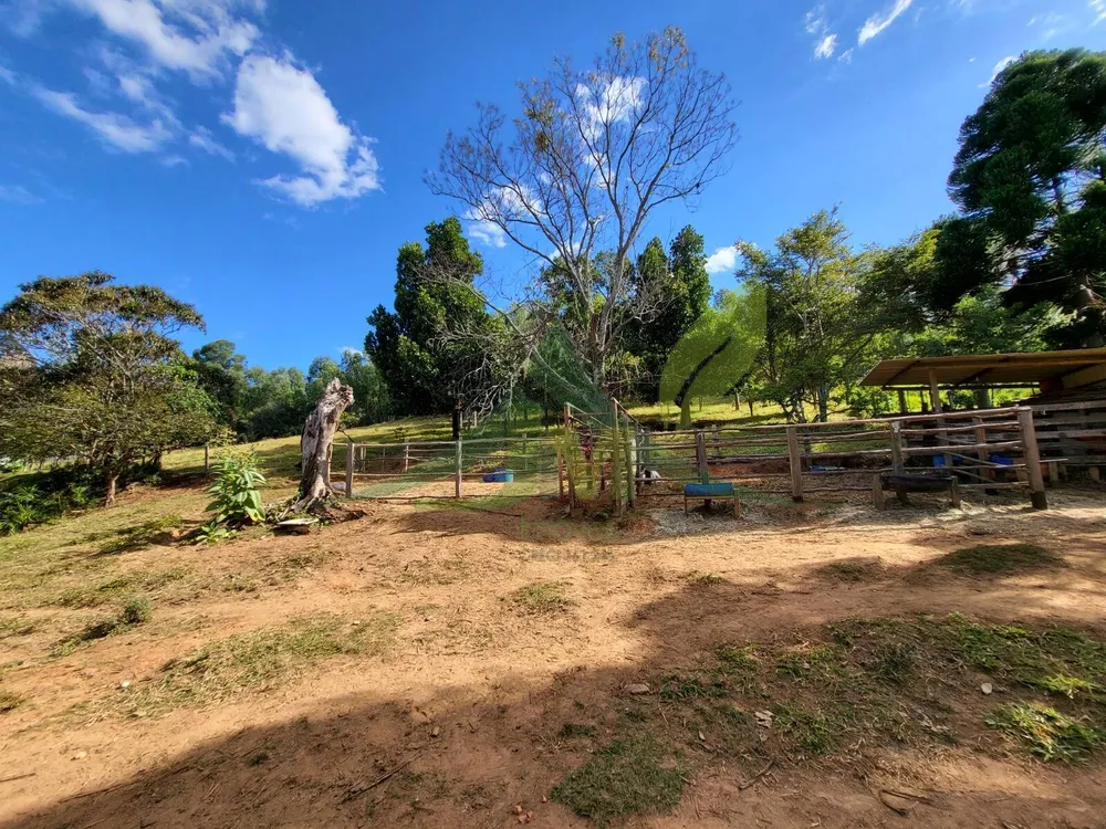 Sítio, 3 quartos, 4 hectares - Foto 3