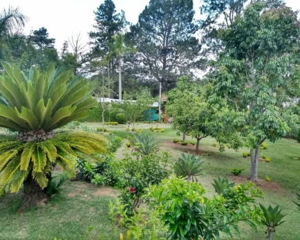 Terreno - Foto 2