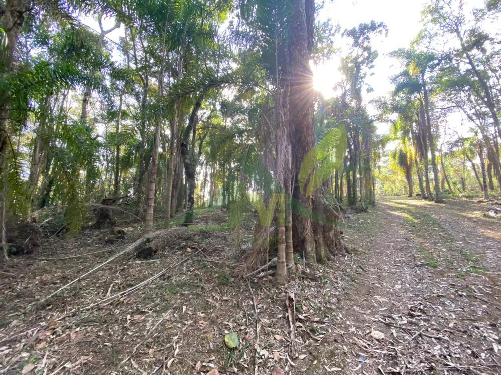 Terreno, 3000 m² - Foto 7