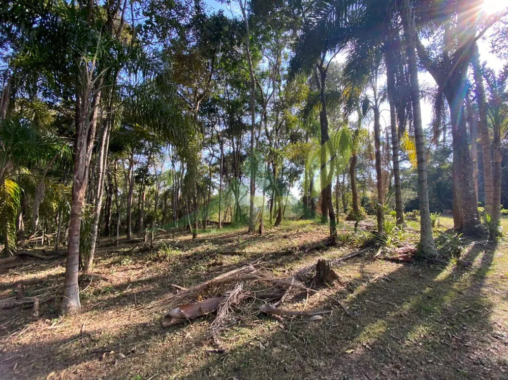 Terreno, 3000 m² - Foto 3