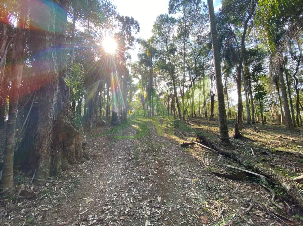 Terreno, 3000 m² - Foto 4