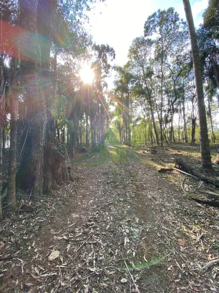 Terreno, 3000 m² - Foto 4