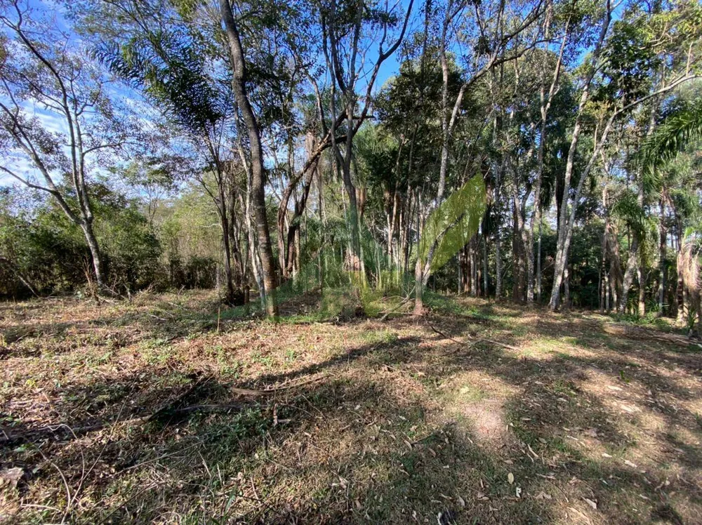 Terreno, 3000 m² - Foto 2