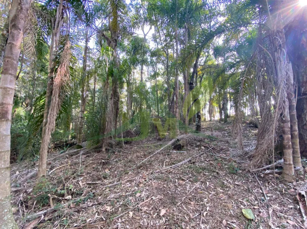 Terreno, 3000 m² - Foto 1