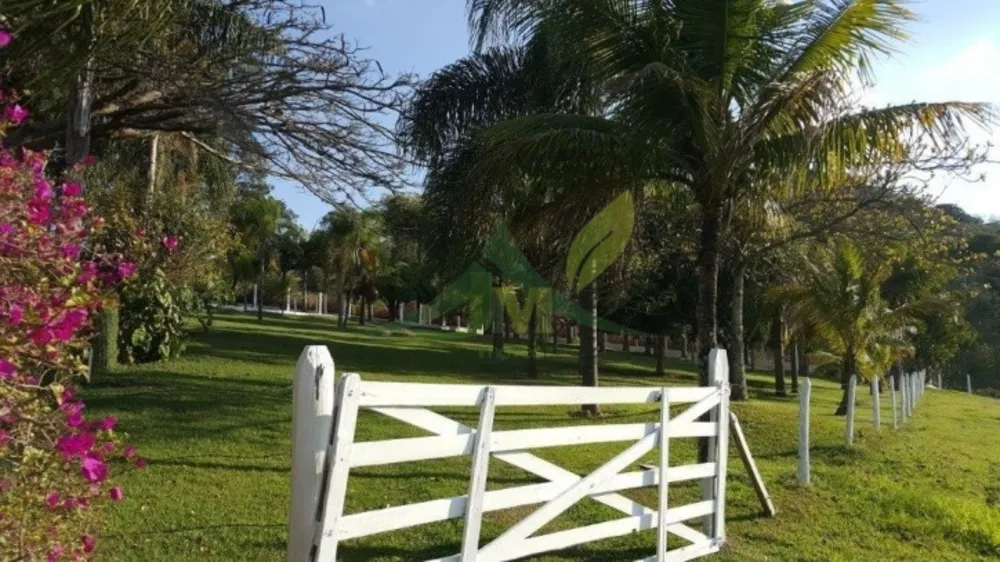 Sítio, 3 quartos, 3 hectares - Foto 14