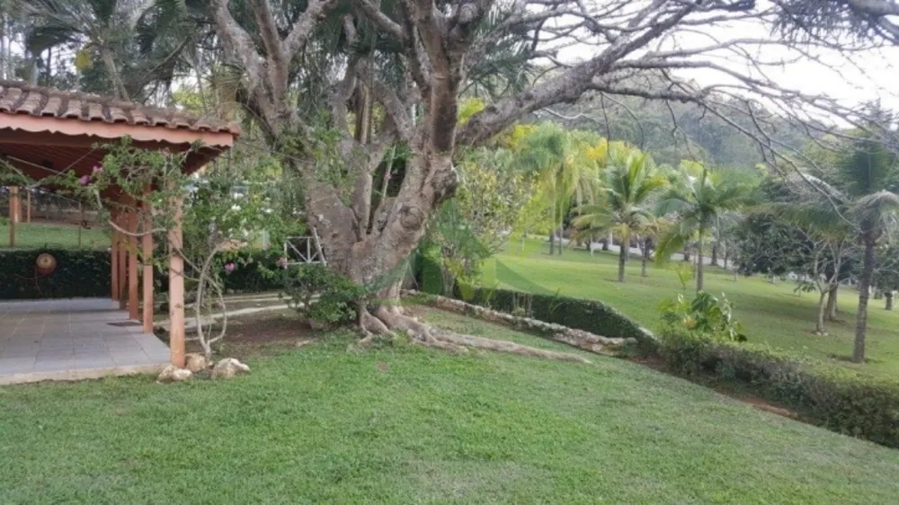 Sítio, 3 quartos, 3 hectares - Foto 9