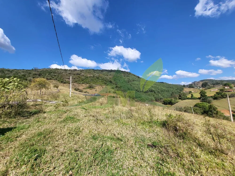 Terreno, 19 hectares - Foto 4