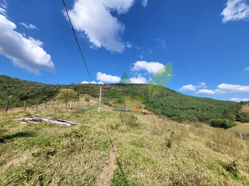 Terreno, 19 hectares - Foto 1
