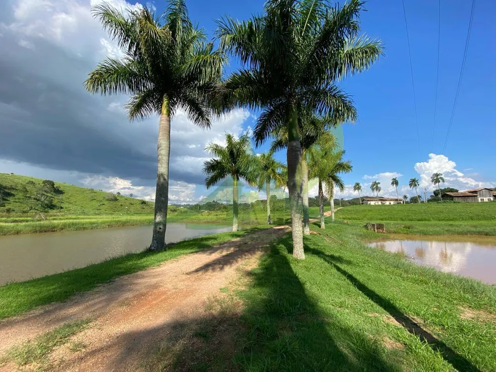Fazenda, 52 hectares - Foto 6