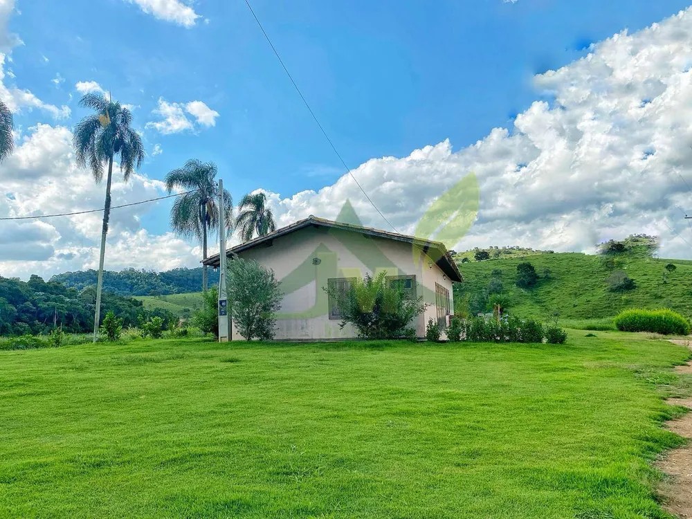 Fazenda, 52 hectares - Foto 9