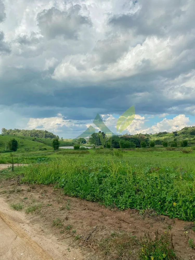 Fazenda, 52 hectares - Foto 8
