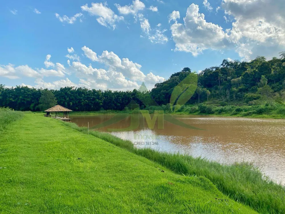 Fazenda, 52 hectares - Foto 4