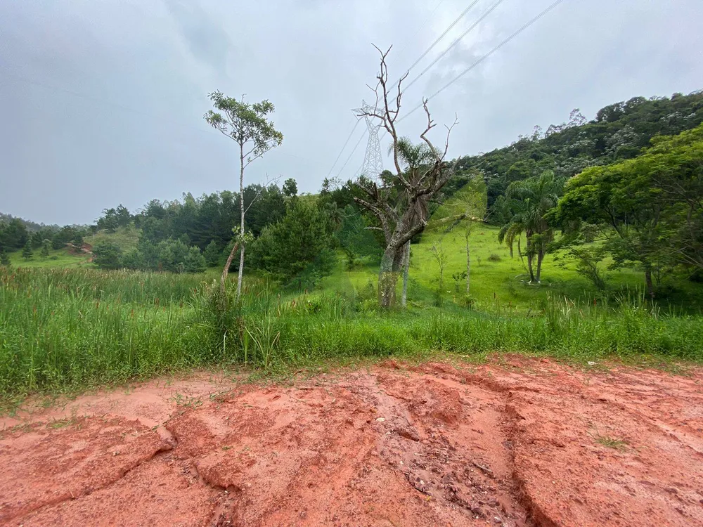 Terreno, 7 hectares - Foto 4