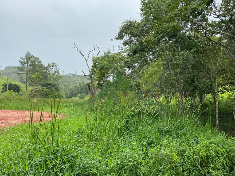 Terreno, 7 hectares - Foto 6