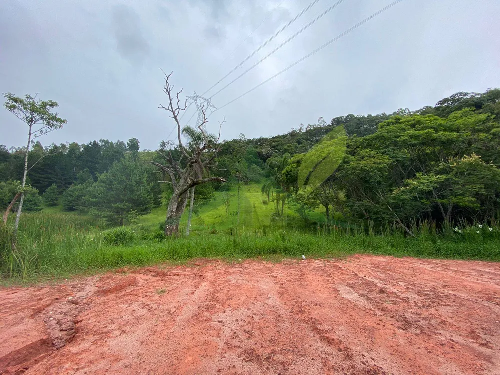 Terreno, 7 hectares - Foto 1