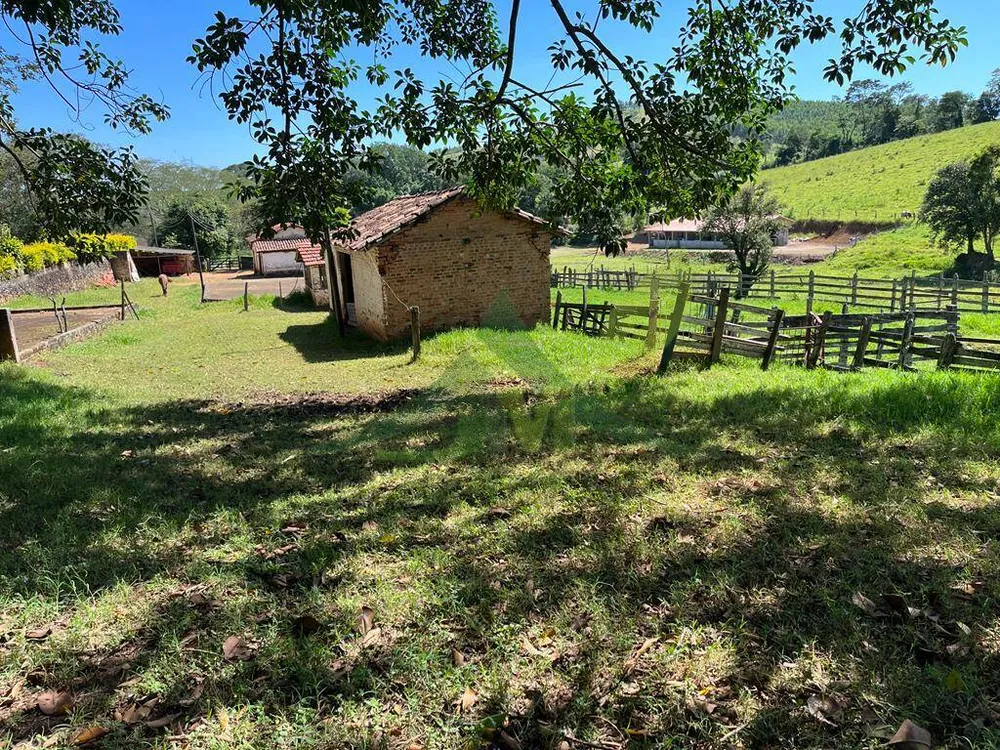 Sítio, 3 quartos, 6 hectares - Foto 4