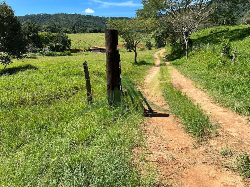 Sítio, 3 quartos, 6 hectares - Foto 12