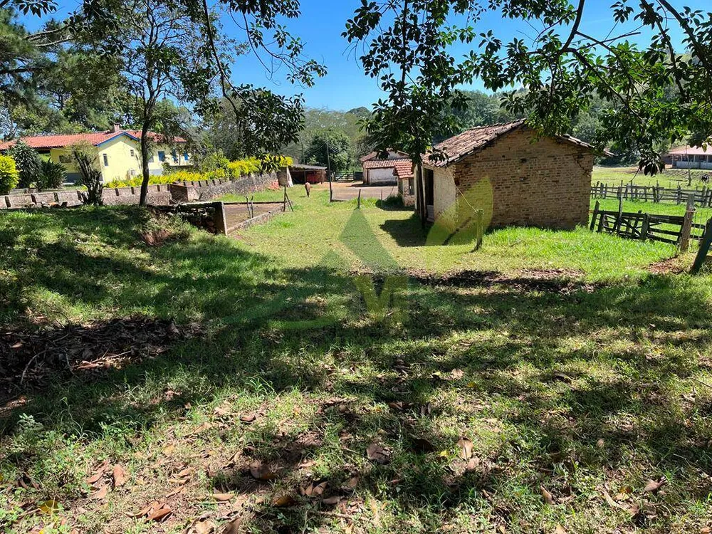 Sítio, 3 quartos, 6 hectares - Foto 3