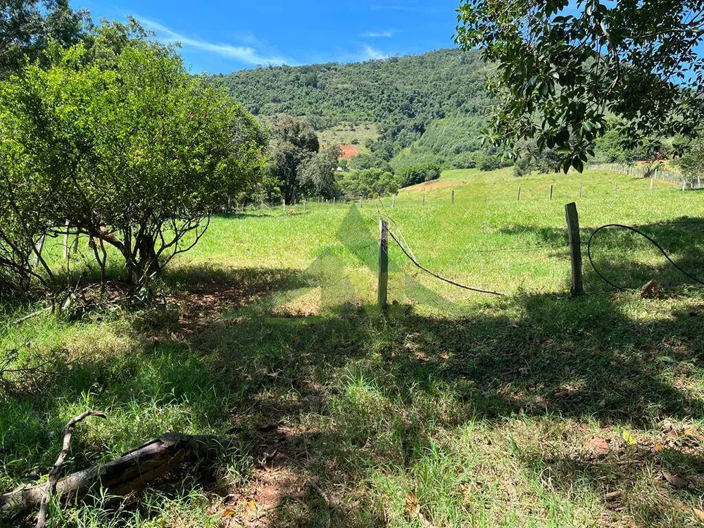 Sítio, 3 quartos, 6 hectares - Foto 1
