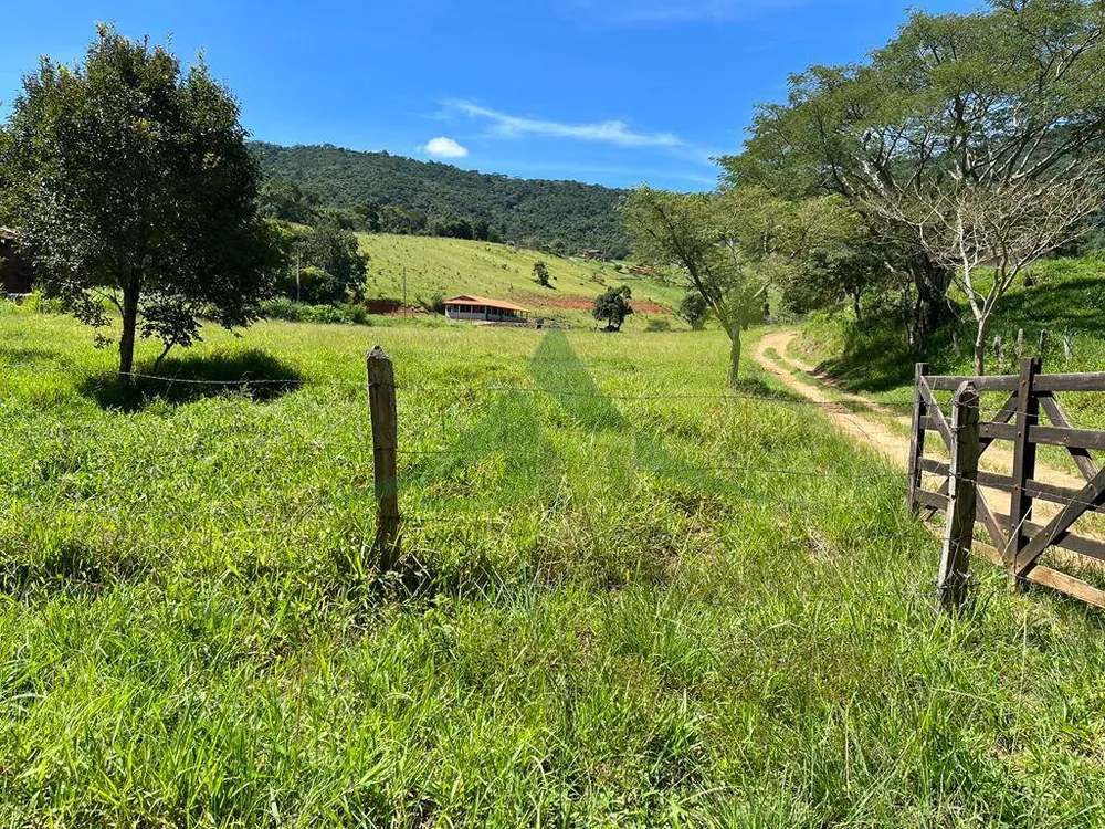 Sítio, 3 quartos, 6 hectares - Foto 11